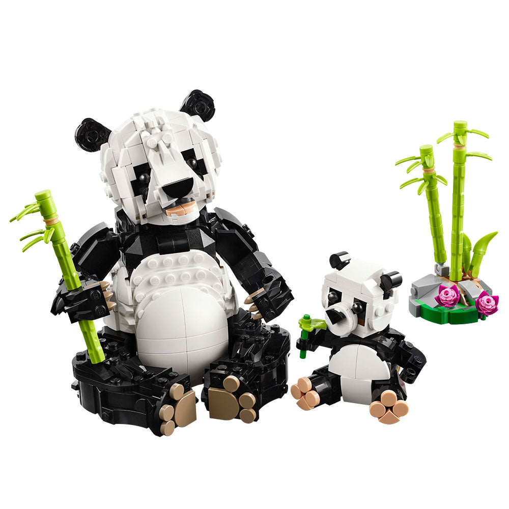 Fauna Salvaje: Familia de Pandas