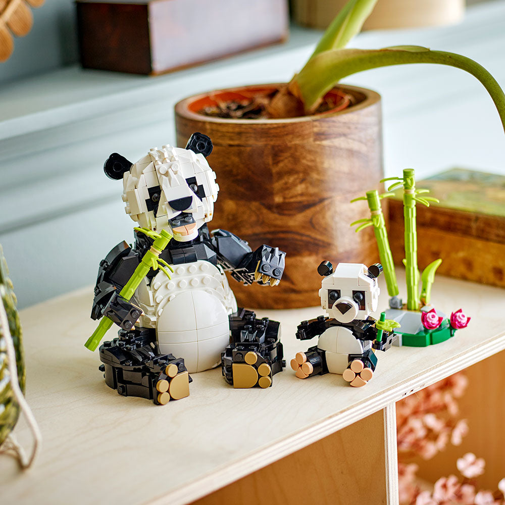 Fauna Salvaje: Familia de Pandas