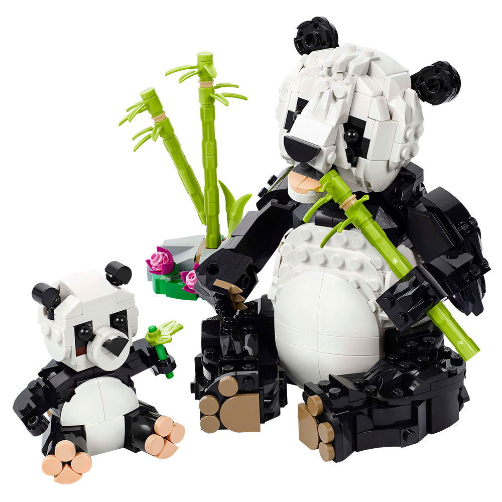 Fauna Salvaje: Familia de Pandas