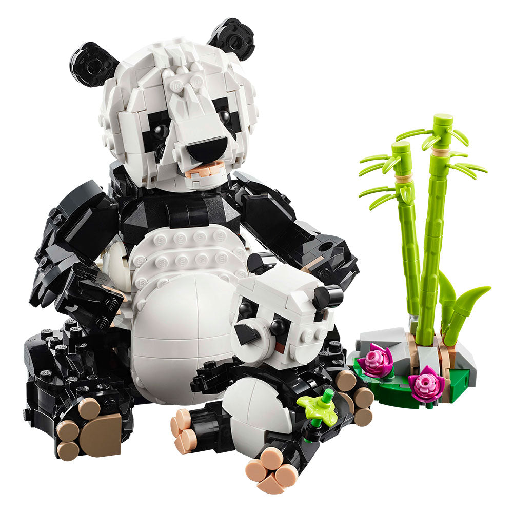 Fauna Salvaje: Familia de Pandas