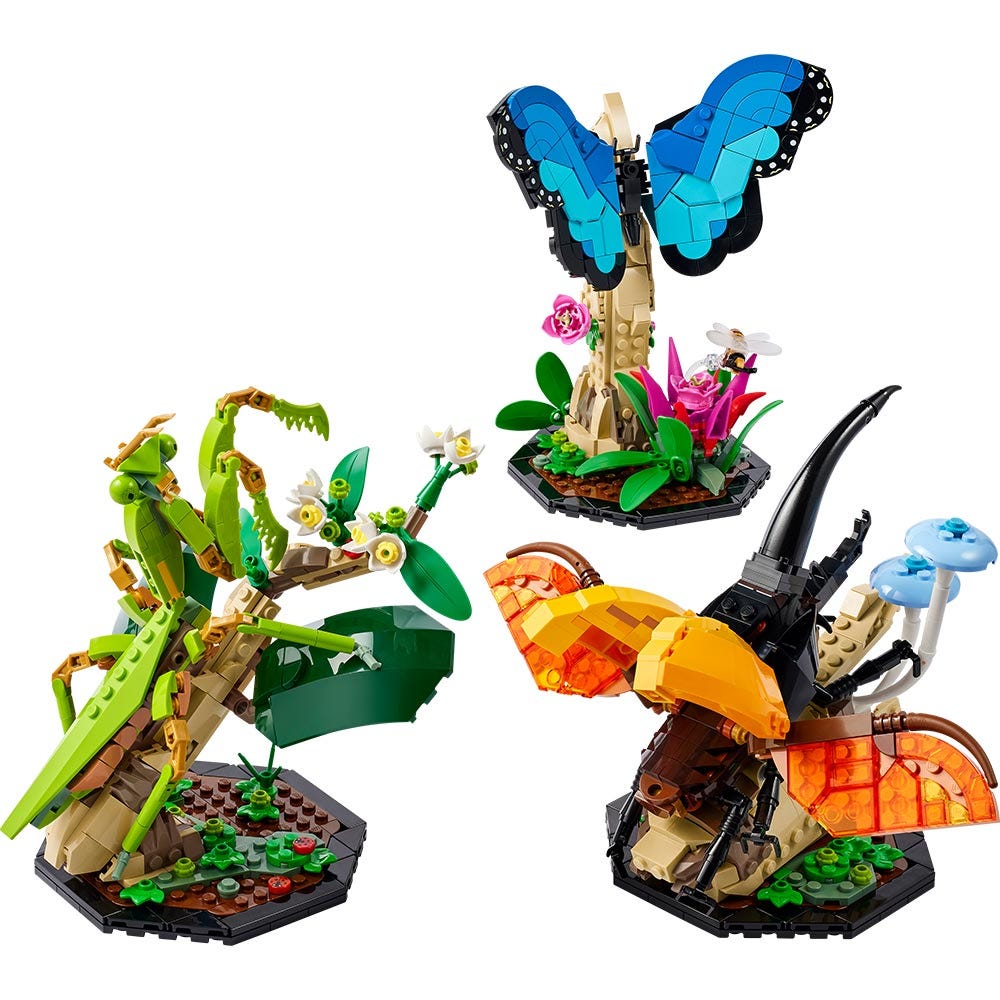 Colección de Insectos