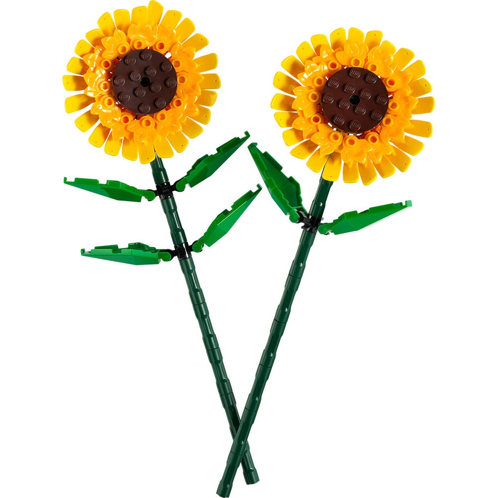 Girasoles